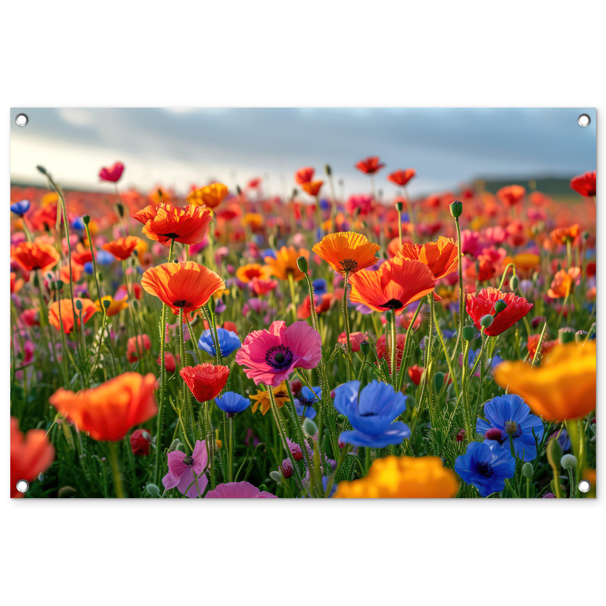 OnlyWow ZAHRADNÍ PLAKÁT Květiny - Mák - Barevné - Příroda 90x60 cm
