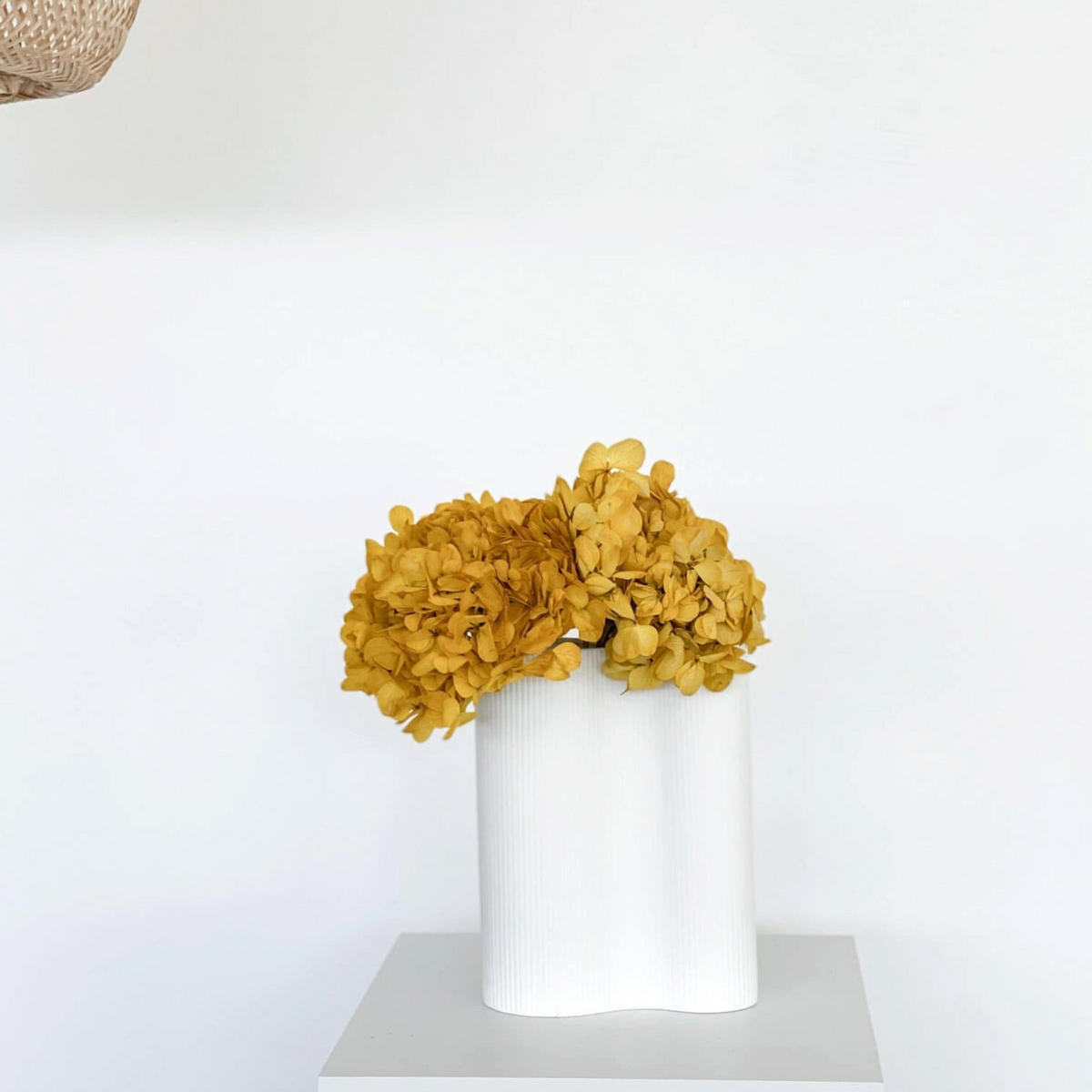 HORTENSIE: Zeitlose Schönheit, konservierte Hortensien als perfekte Dekoration - hellblau / 30 cm - Hellblau, Naturmaterialien (30cm) - Lykke & You