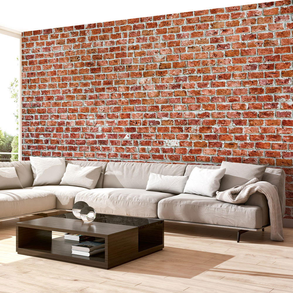 VLIESTAPETE Rot 350/245 cm - Rot, Textil (350/1cm) - KUNSTLOFT