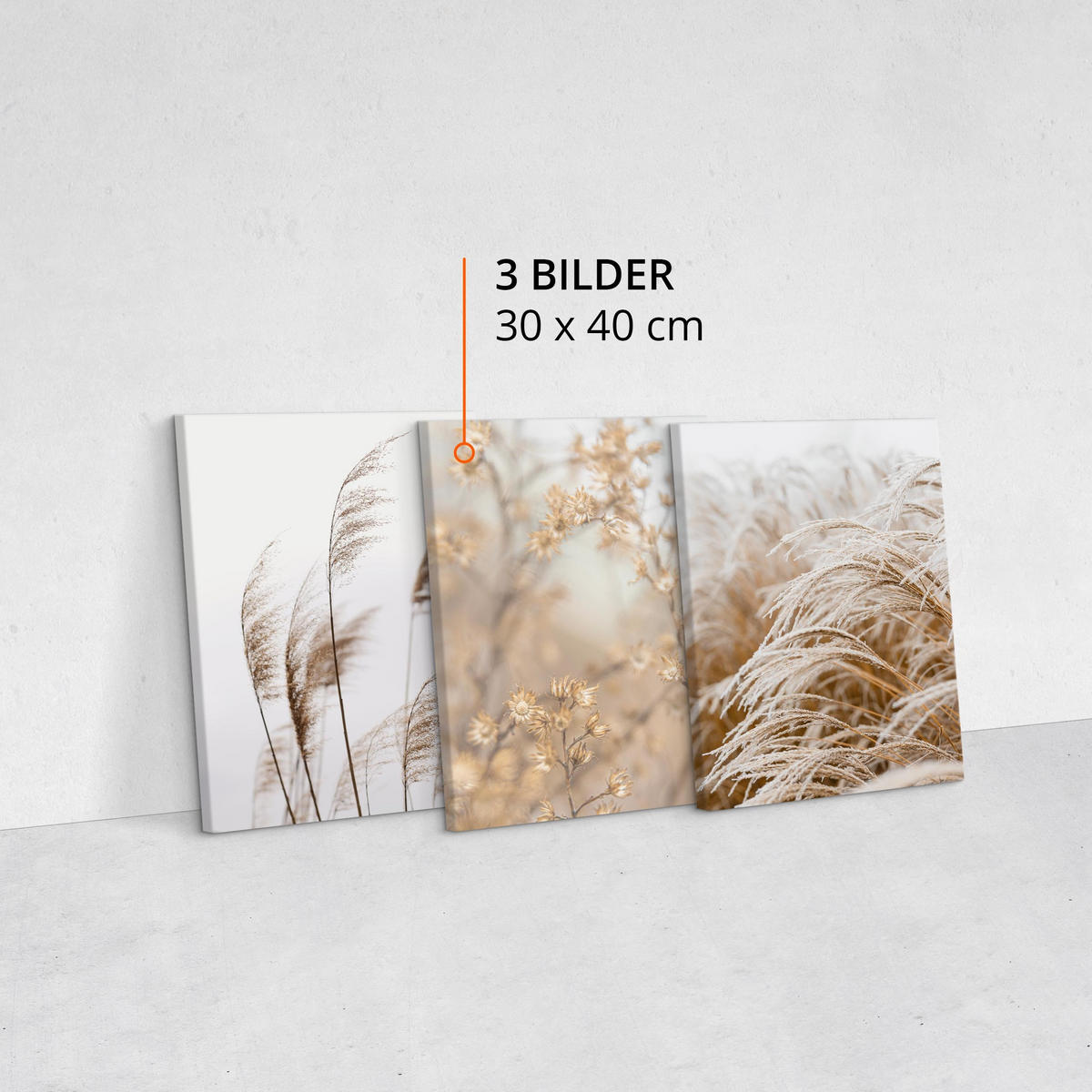LEINWANDBILDER 3-er Set Pflanzen Natur - Beige/Braun, Textil (90/40cm) - Muralo