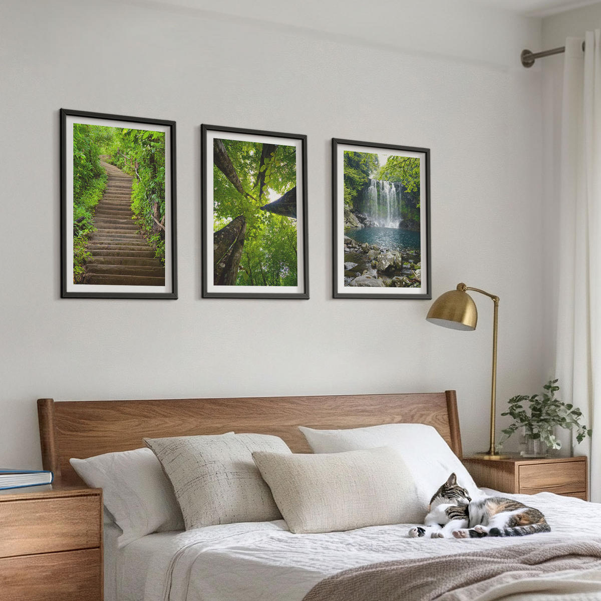 BILDER SET 3er Set - 40x60 cm Schwarzer Rahmen - Pfad Wald Wasserfall Vegetation - Schwarz, Kunststoff (40/60cm) - TULUP