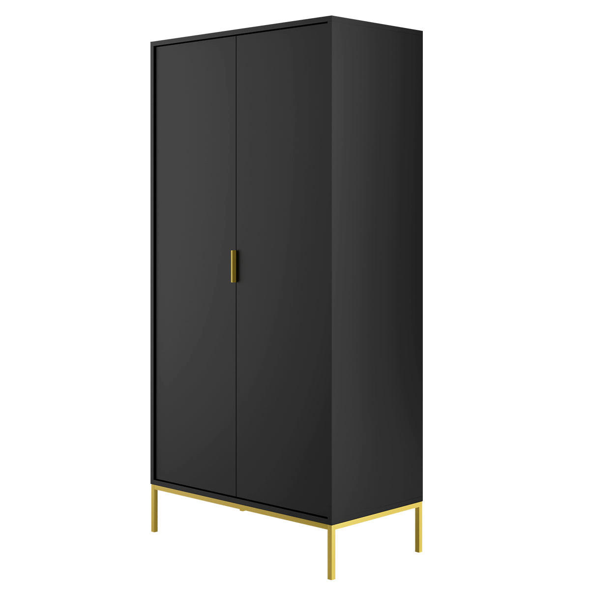SCHRANK 2 Türen Seattle Schwarz - Schwarz, Holzwerkstoff (100/205.4/55cm) - Petits-meubles