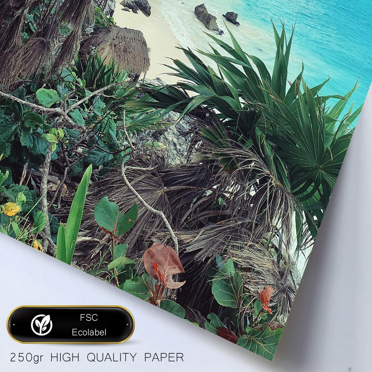 POSTER Set Mit 6 Leben In Voller Farbe A3 & A4 Rahmenlos - Klar, Papier (29/3cm) - Nacnic