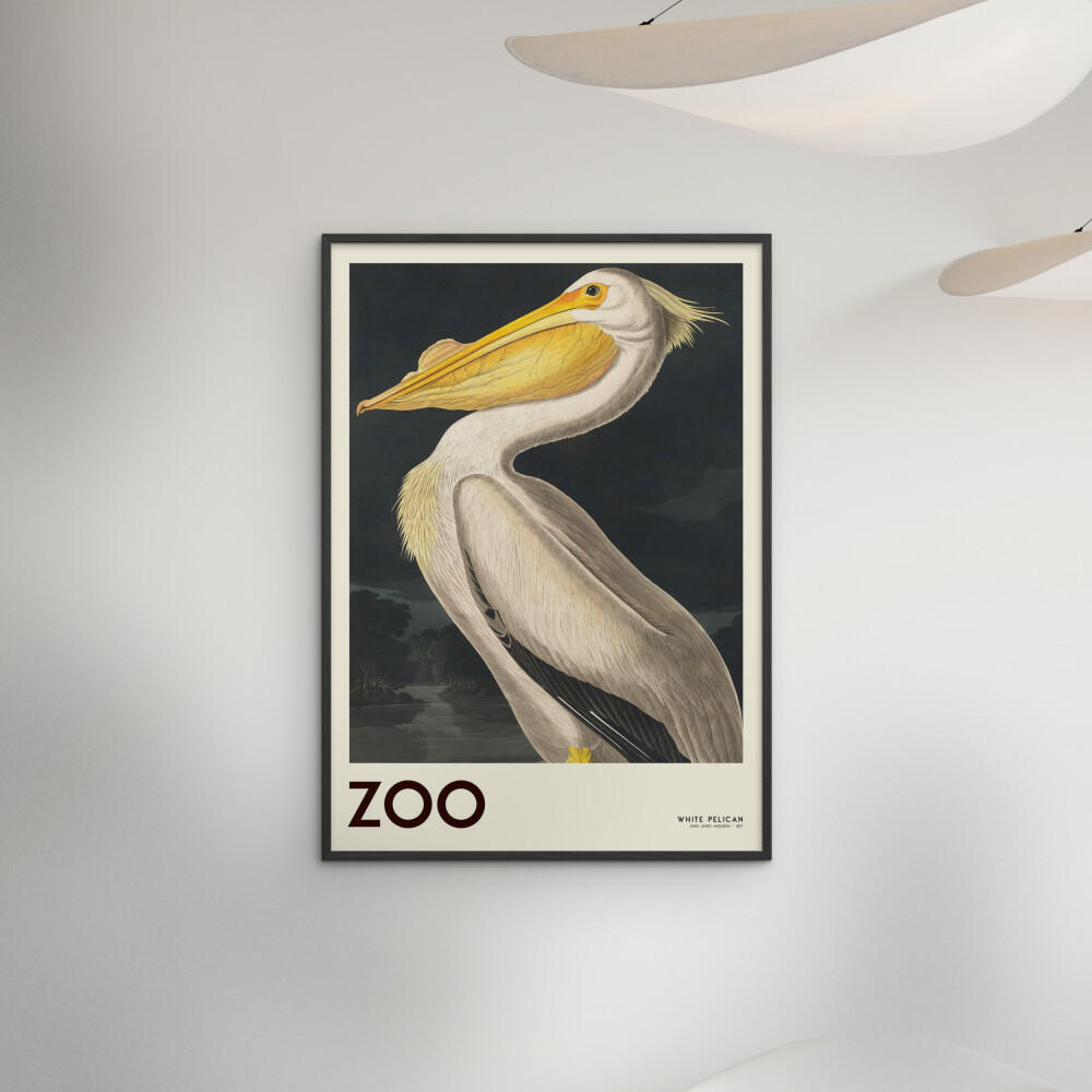 POSTER mit Rahmen A.P. Atelier - The Zoo Collection — White Pelican — Edt. 001 - Pink/Schwarz, Holz/Papier (30/40cm) - Poster&Frame