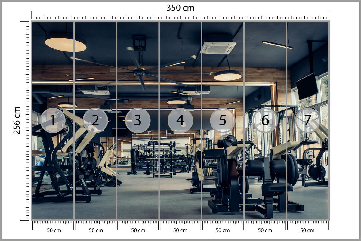 FOTOTAPETE Modernes Fitnessstudio Trainingsgeräte Sport 350x256 - Schwarz/Braun, Papier (350/256cm) - Muralo
