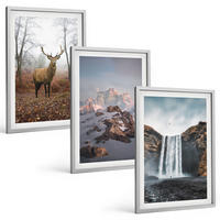 BILDER SET 3er Set - 40x60 cm Silberner Rahmen - Wilde Berglandschaften - Silberfarben, Kunststoff (40/60cm) - TULUP