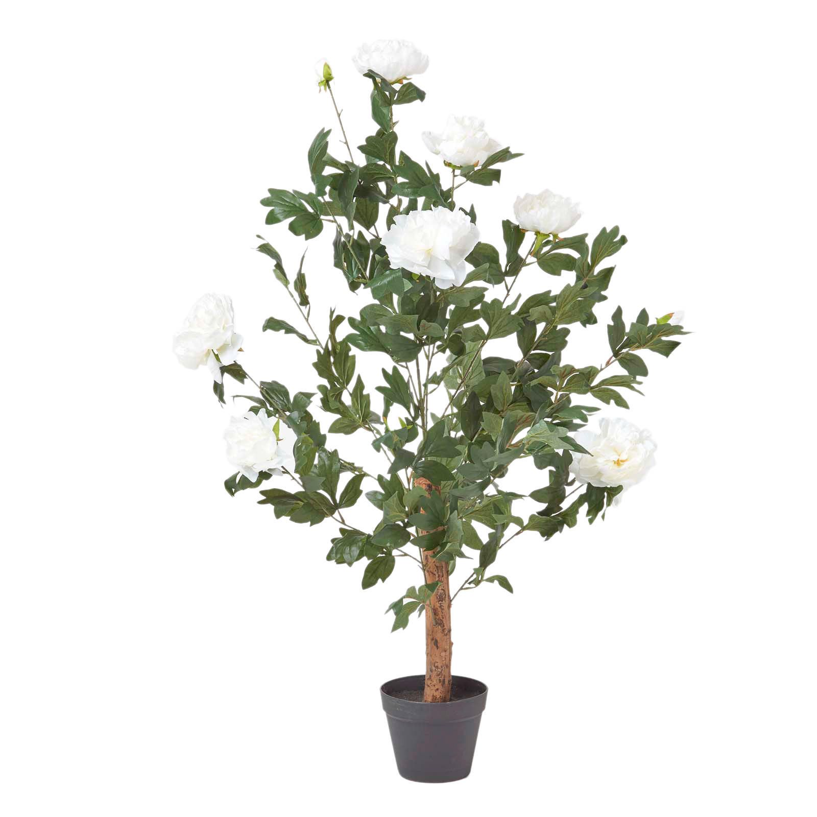 KUNSTPFLANZE Baumpfingstrose creme, 100 cm - Creme, Kunststoff (100cm) - Homescapes