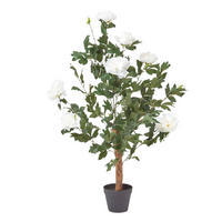 KUNSTPFLANZE Baumpfingstrose creme, 100 cm - Creme, Kunststoff (100cm) - Homescapes