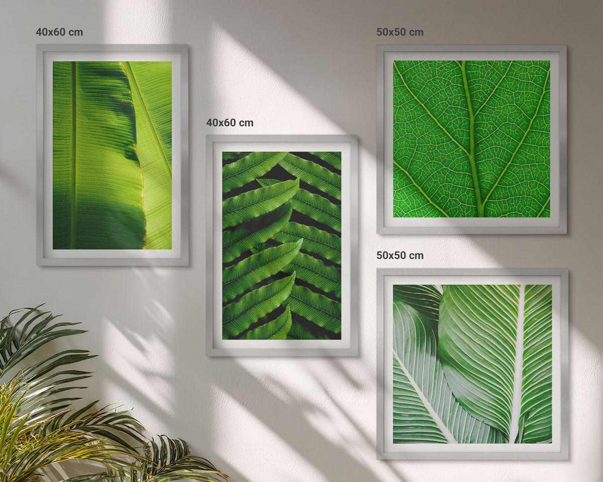 WANDBILDER 4er Set - 50x50 cm & 40x60 cm Silberner Rahmen - Nahaufnahme von tropischen Blättern - Silberfarben, Kunststoff (50/50cm) - ArtPrintCave