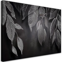 WANDBILD minimalismus hinterlässt pflanzen schwarz und weiß - Grau, Textil (60/40cm) - Feeby