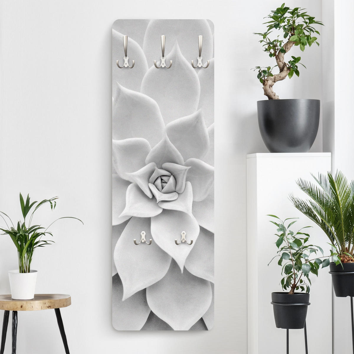 WANDGARDEROBE - Kaktus Sukkulente 34/105 cm - Schwarz, Holzwerkstoff (34/105/1.6cm) - Bilderwelten