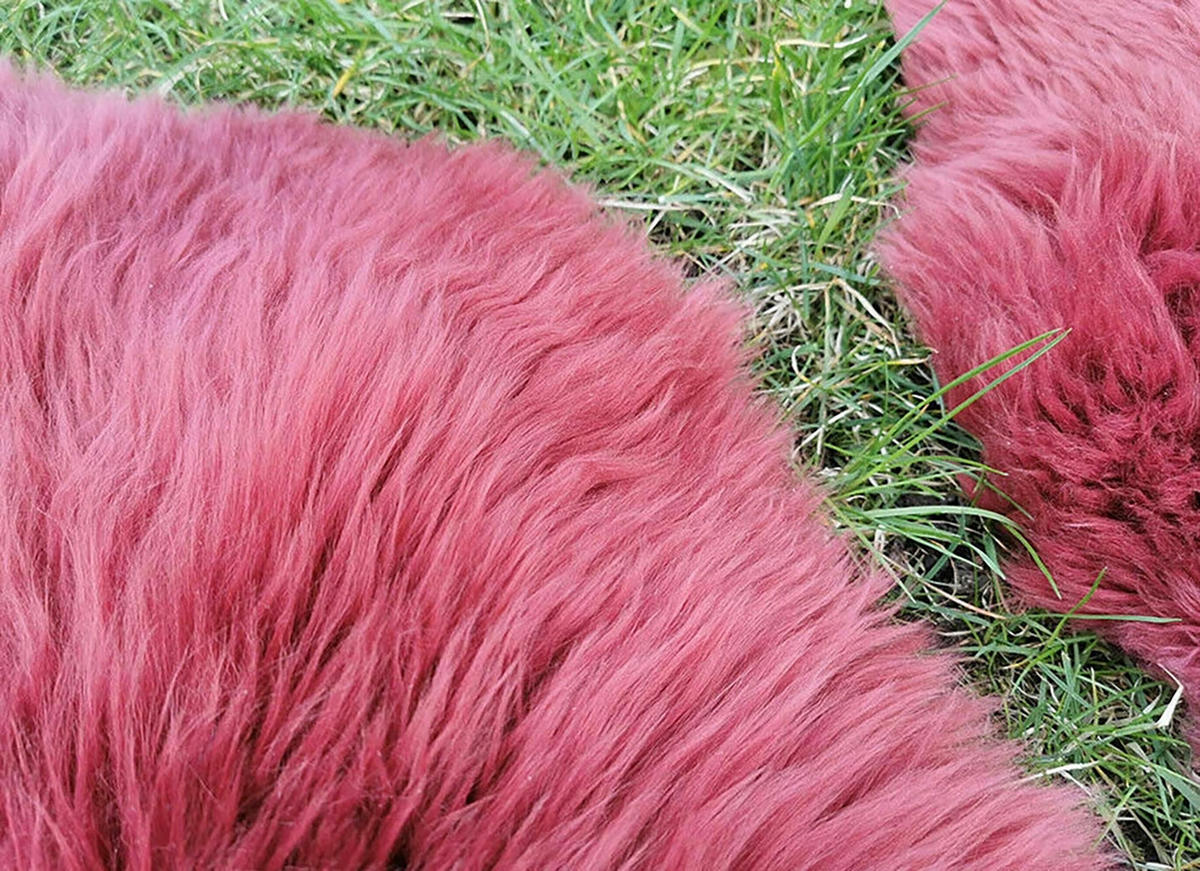 LAMMFELL Öko bunt gefärbt weich Fell Teppich Kirschenrot ca. 110 cm - Kirschrot, Fell (60/110cm) - Provellus