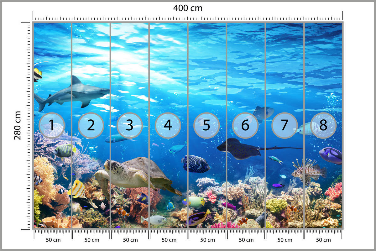 FOTOTAPETA Pre Kúpeľňu Korálový Útes Korytnačka Žralok Ryby 400 x 280 cm - oranžová/hnedá, papier (400/280cm) - Muralo