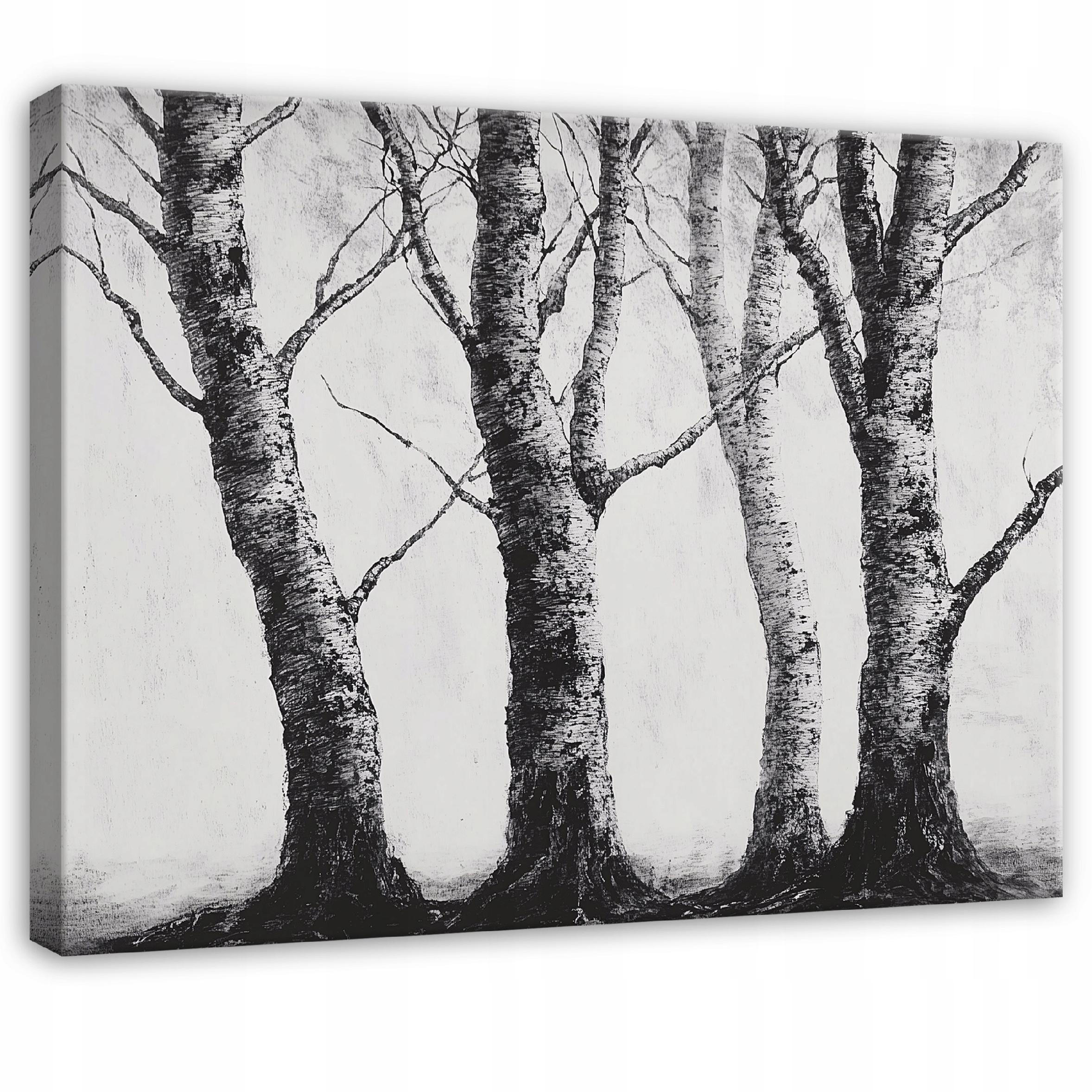 BILDER Wald Schwarz und Weiß Natur Bäume 60x40 - Multicolor, Holzwerkstoff (60/40cm) - Wallarena