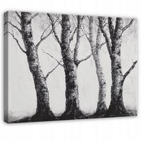 BILDER Wald Schwarz und Weiß Natur Bäume 60x40 - Multicolor, Holzwerkstoff (60/40cm) - Wallarena