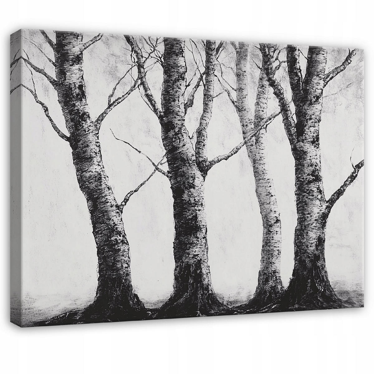 BILDER Wald Schwarz und Weiß Natur Bäume 60x40 - Multicolor, Holzwerkstoff (60/40cm) - Wallarena