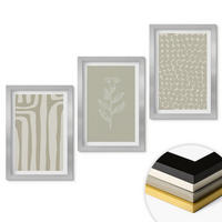 WANDBILDER 3er Set - 20x30 cm Silberner Rahmen - Geometrische Pflanzenmuster - Silberfarben, Kunststoff (20/30cm) - ArtPrintCave
