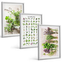 BILDER SET 3er Set - 40x60 cm Silberner Rahmen - Getrocknete Kräuter für die Küche - Silberfarben, Kunststoff (40/60cm) - TULUP