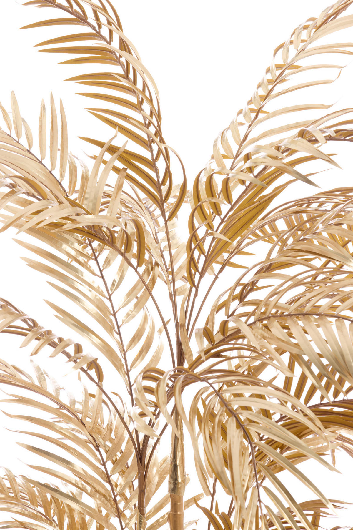 TOPFPALME Gold 145/135/135 cm - Goldfarben, Kunststoff (135cm) - Light & Living