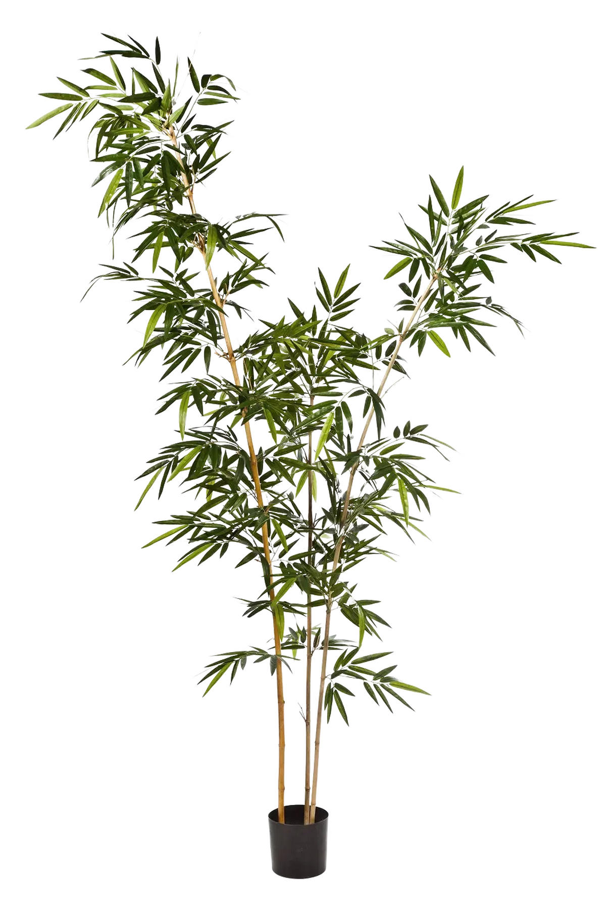 BAMBUSE Künstlicher Bambus - Melissa 260 cm - Grün, Kunststoff (260cm) - aplanta