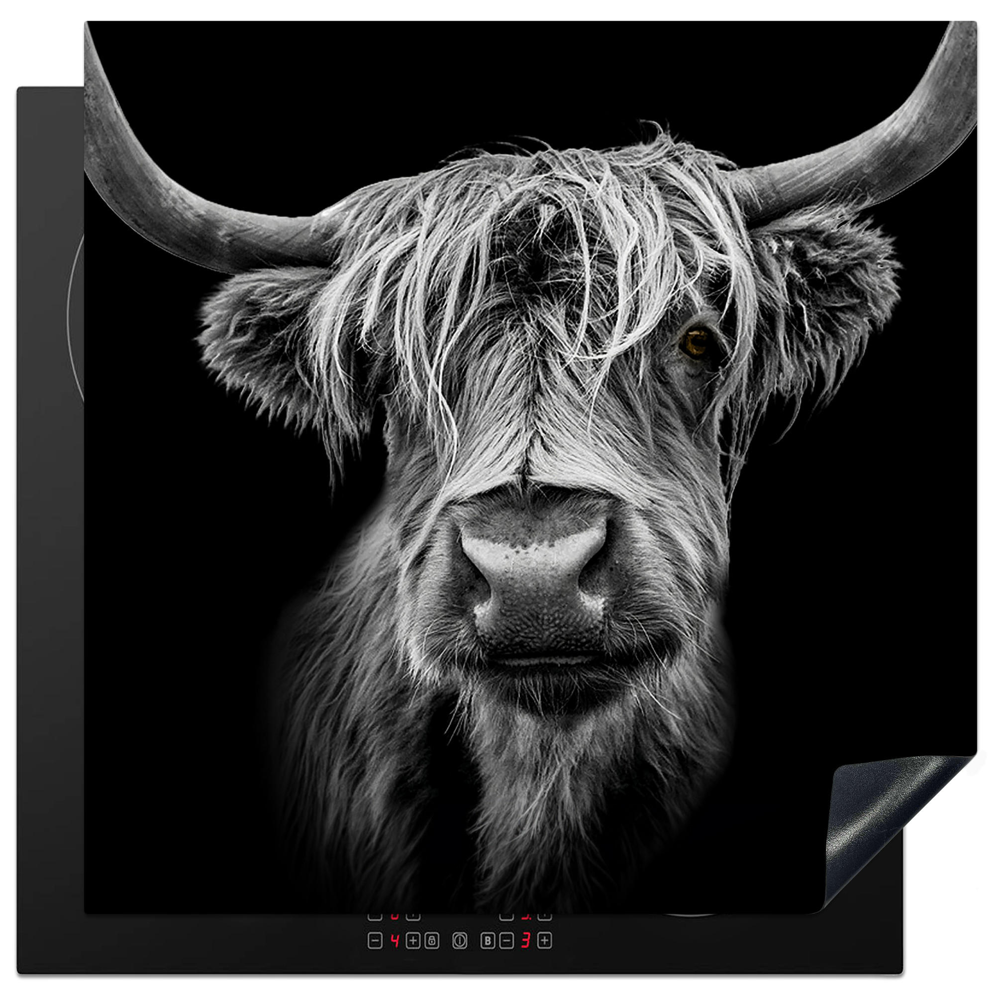 HERDABDECKPLATTE Schottischer Highlander - Hörner - Schwarz - Weiß - Kuh - Wild - Tiere Induktionsmatte 78x78 cm - Schwarz, Kunststoff (78/78/0.2cm) - MuchoWow