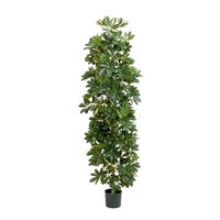 KUNSTBAUM Künstlicher Schefflera Baum - Osman 180 cm - Naturfarben, Kunststoff (180cm) - aplanta