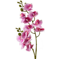 UMĚLÁ ORCHIDEJ Viridis - růžová, plast (65cm) - Mondex