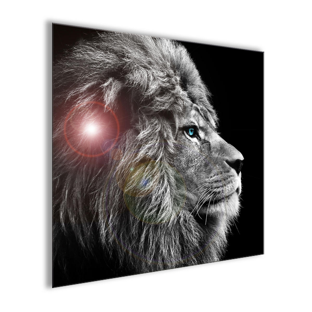 GLASBILD 30×30 cm Löwe Schwarz-Weiß - Anthrazit, Glas (30/30cm) - artissimo