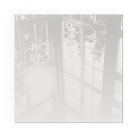 GLASPLATTE für Kamin 50x50 cm - Grau, Glas (50/50/0.4cm) - TULUP