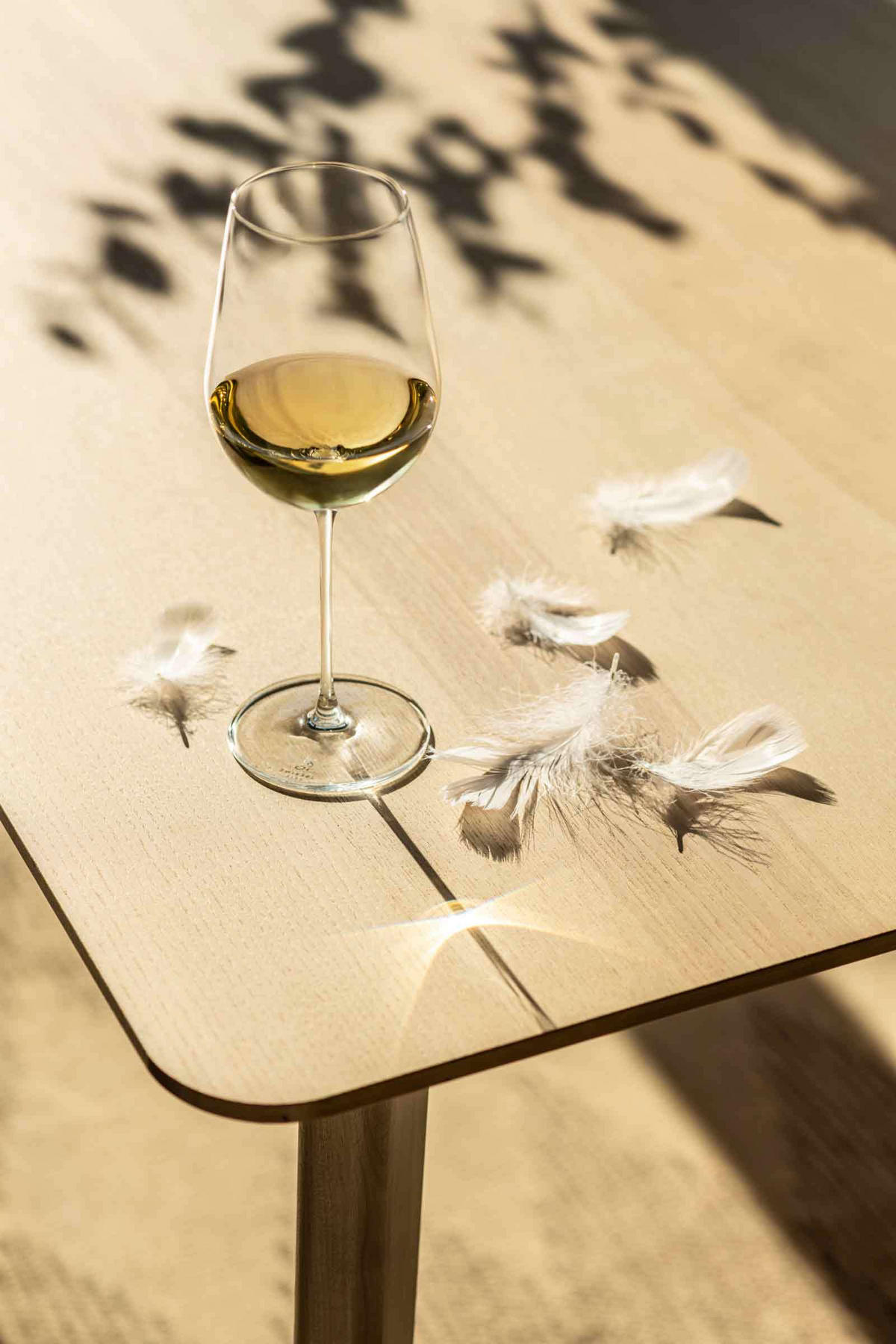 ROTWEIN- UND WEISSWEINGLÄSERSET VUELO transparent 8er Set - Transparent, Glas - Zwiesel Glas