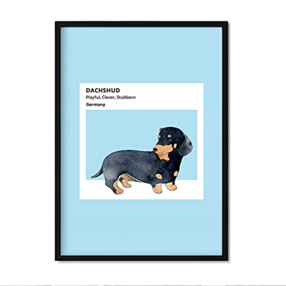 POSTER Hunde Illustrationen – Dackel A3 Rahmenlos - Klar, Papier (29.7/5/42cm) - Nacnic