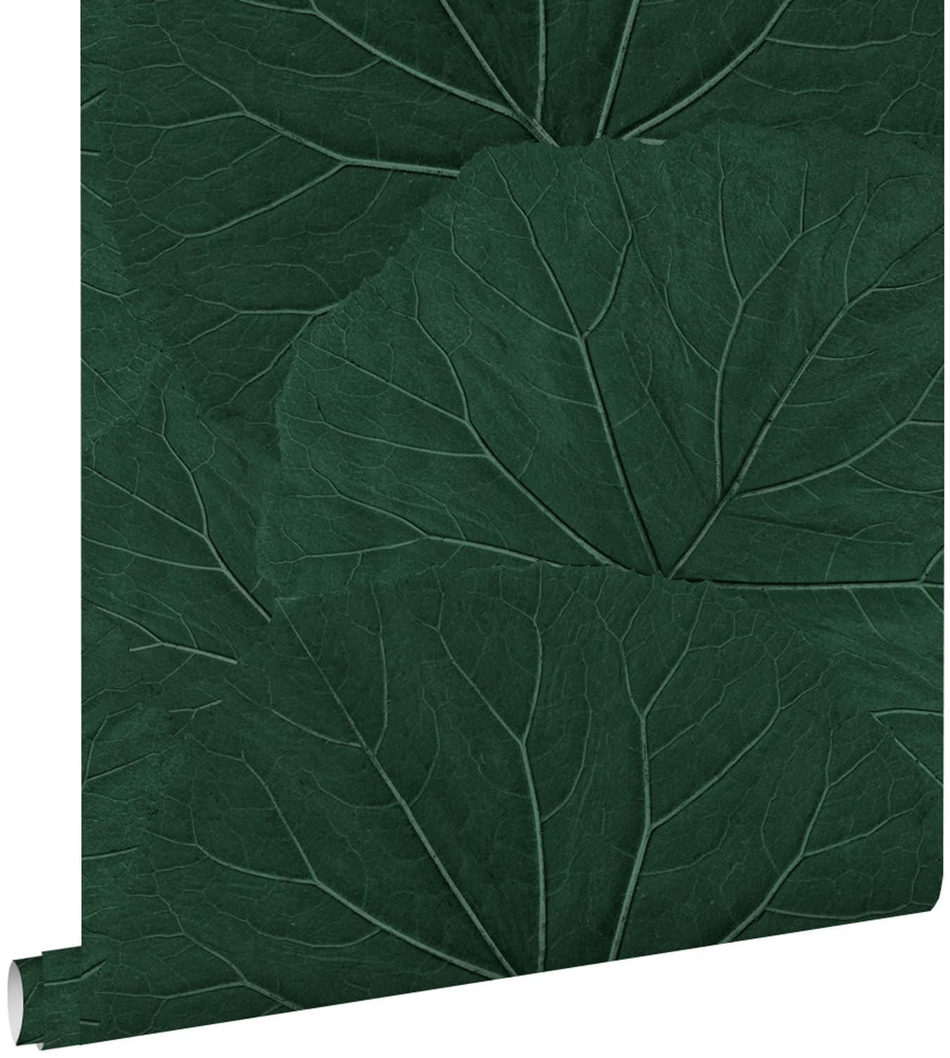 TAPETE große Blätter 53 cm x 10.05 m - Grün, Papier (53/1000cm) - ESTAhome