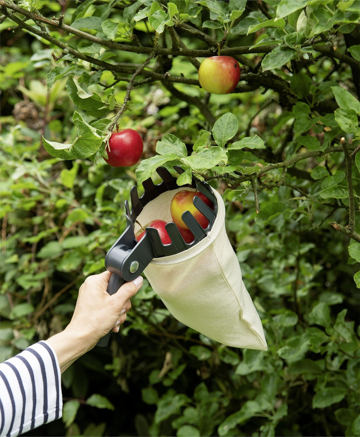 OBSTPFLÜCKER Baumwolle Ø 14 cm - Schwarz, Kunststoff (27.5/6/14cm)