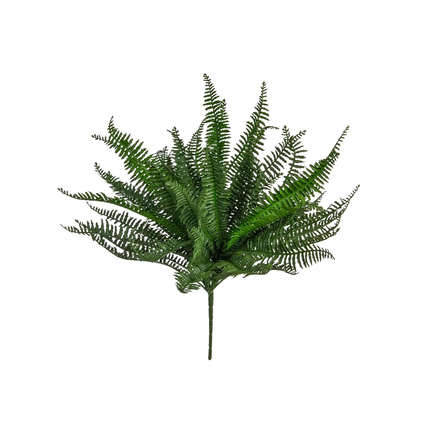 KUNSTPFLANZE Künstlicher Boston Farn - Sonja 37 cm - Grün, Kunststoff (37cm) - aplanta