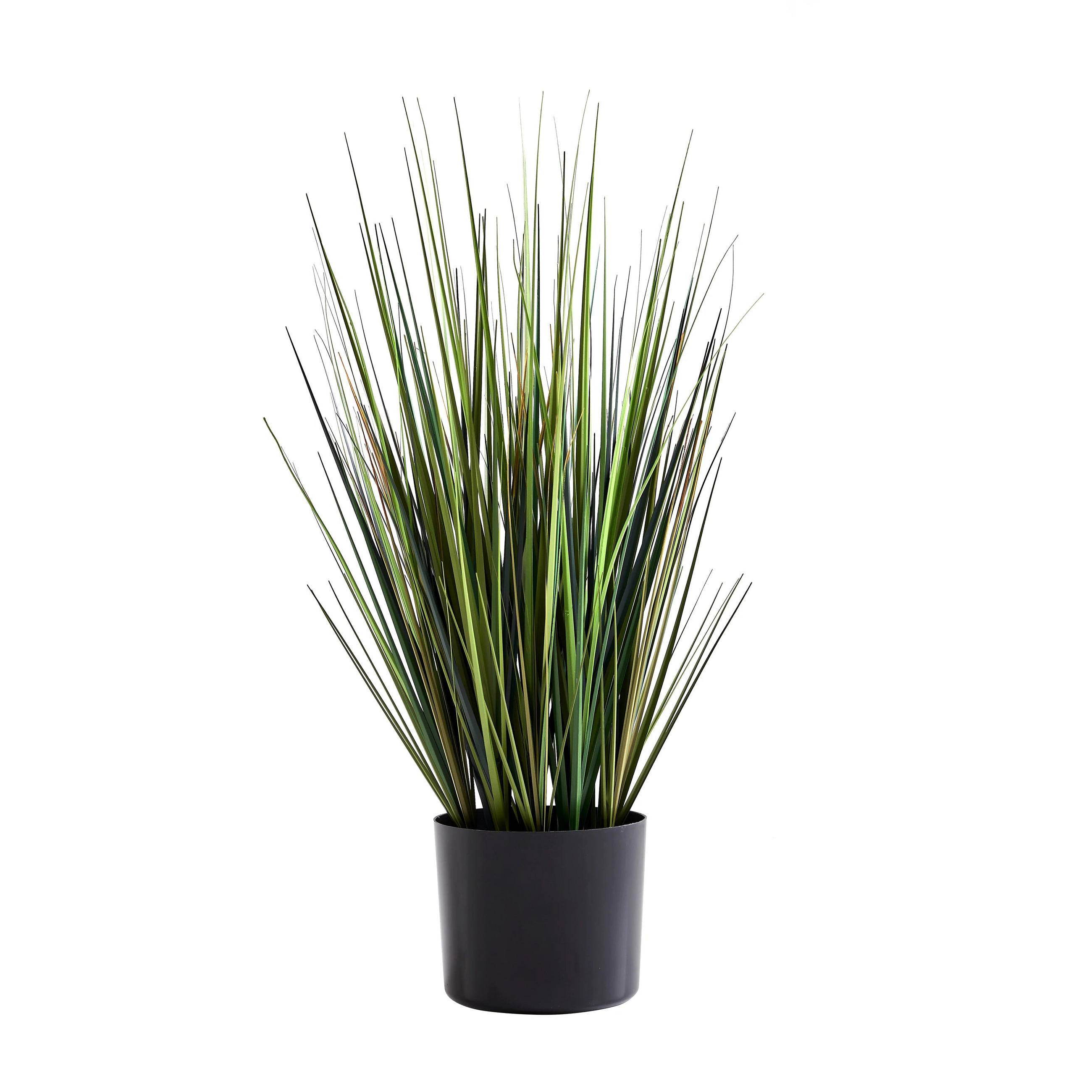 KUNSTPFLANZE Künstliches Gras – Selwyn 60 cm - Grün, Kunststoff (60cm) - aplanta