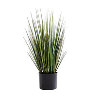 KUNSTPFLANZE Künstliches Gras – Selwyn 60 cm - Grün, Kunststoff (60cm) - aplanta