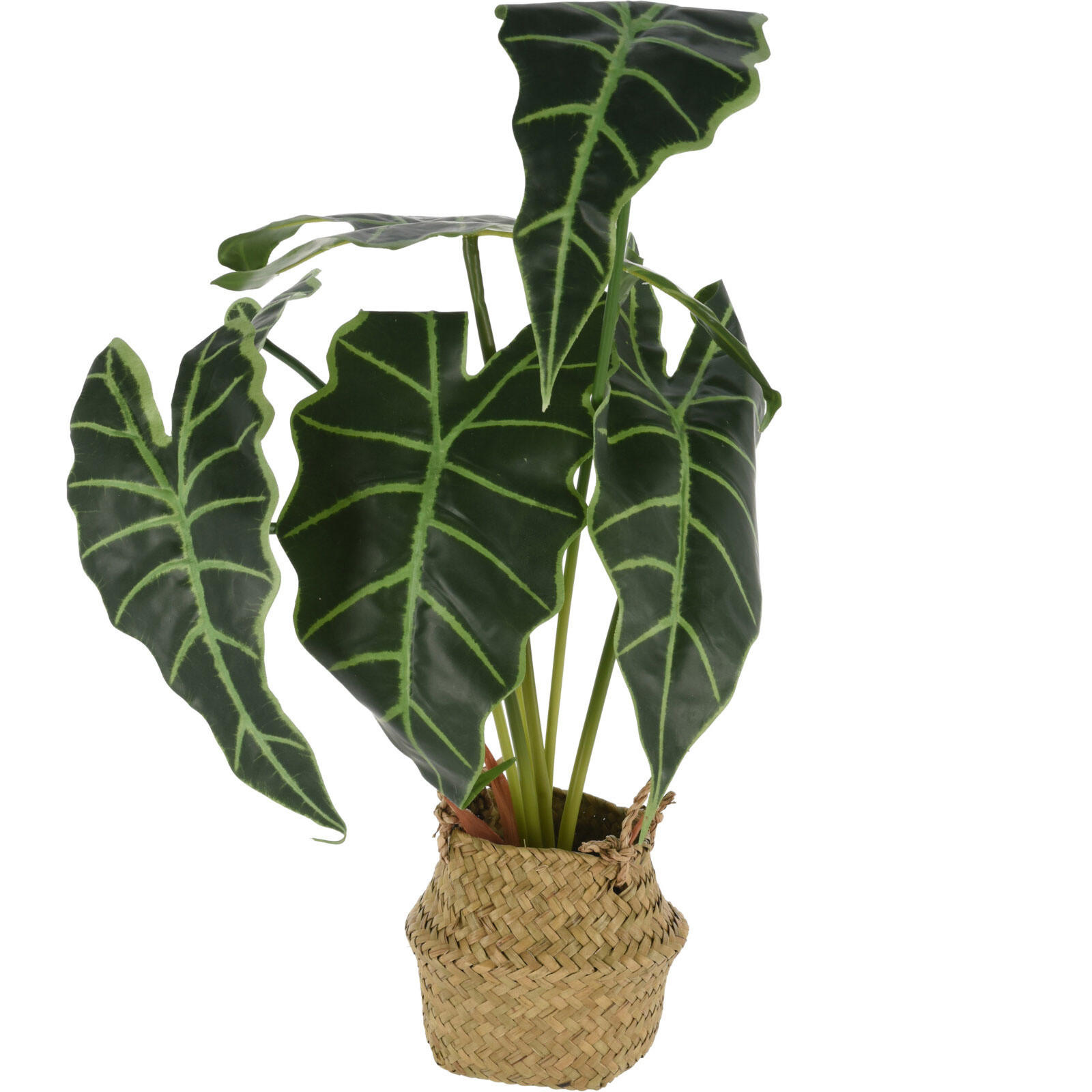 ALOKASIEN Kunstblume im Korb 30/30/51 cm - Grün, Kunststoff (51cm) - Home Styling Collection
