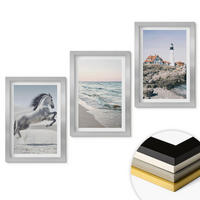 WANDBILDER 3er Set - 20x30 cm Silberner Rahmen - Pferde, Strand, Leuchtturm, Wellen - Silberfarben, Kunststoff (20/30cm) - ArtPrintCave