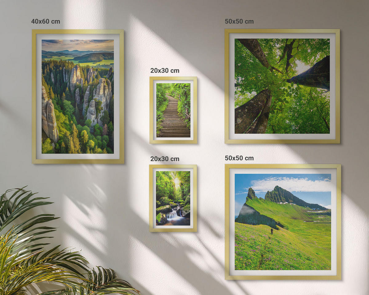 BILDER SET 5er Set - 50x50 cm & 20x30 cm & 40x60 cm Goldrahmen - Grüne Berge Wasserfallwald - Goldfarben, Kunststoff (40/60cm) - TULUP