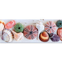 GLASBILD 80x30 cm Muscheln maritim - Gelb, Glas (80/30cm) - artissimo