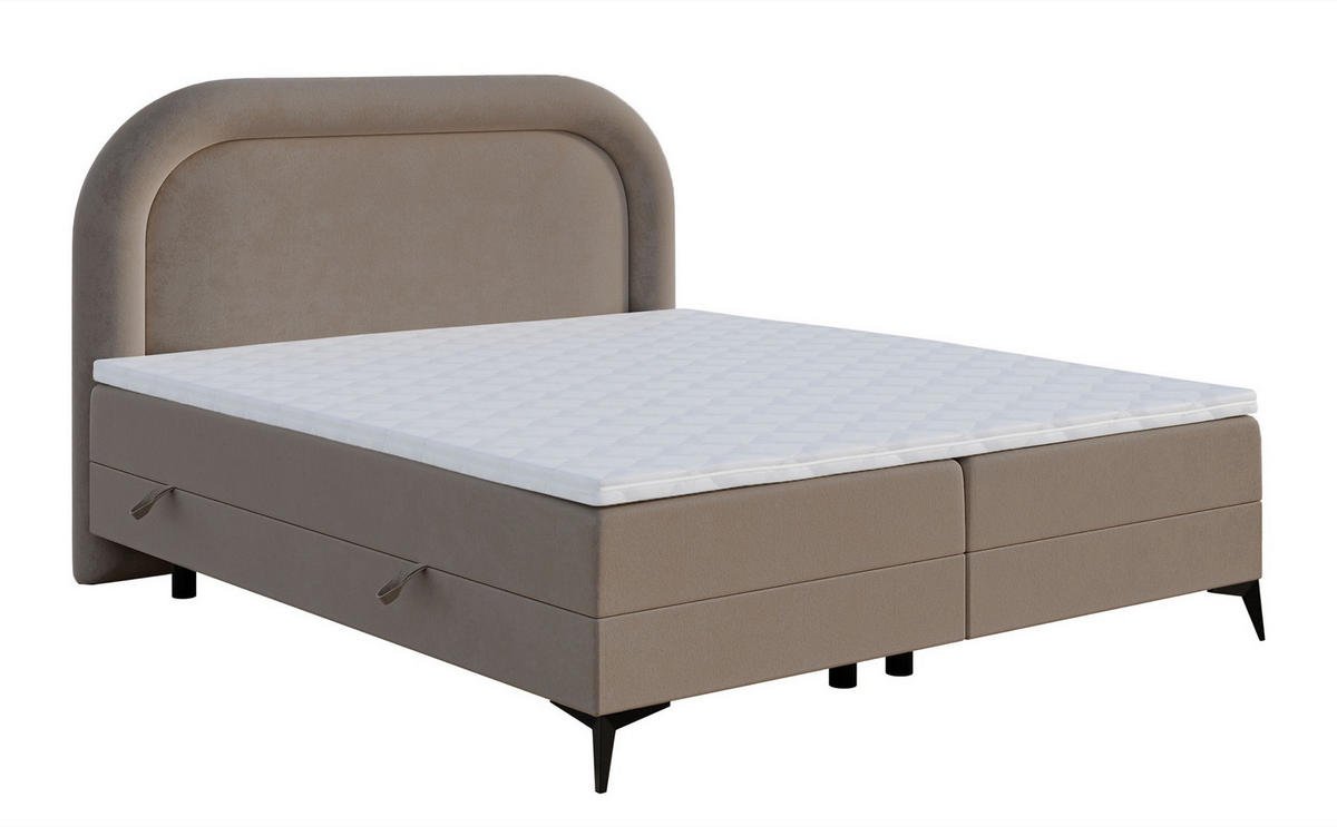 BOXBETT Loreo Beige Samt 160x200 cm - Beige/Schwarz, Kunststoff/Textil (160/200cm) - Selsey