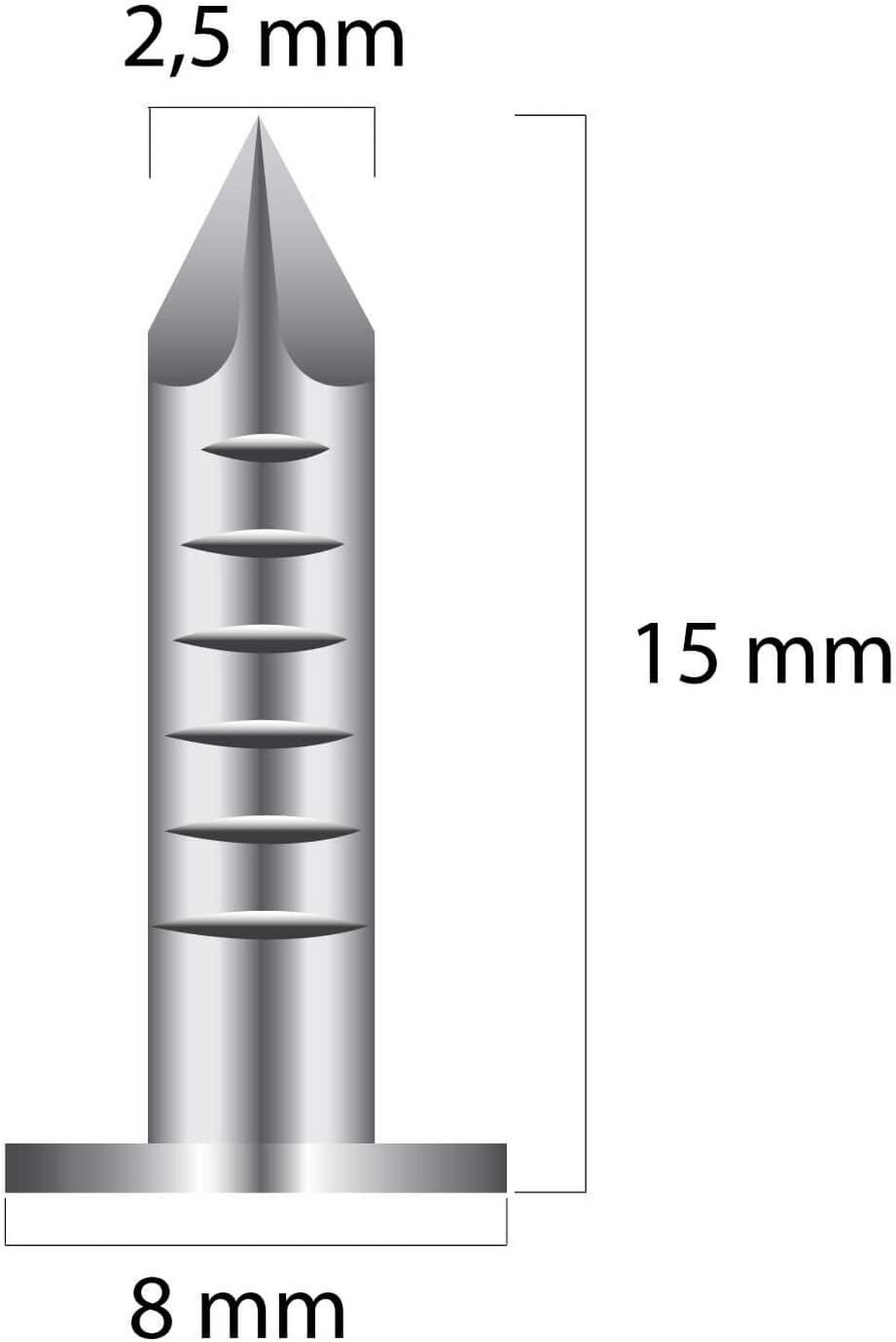 DACHPAPPSTIFTE Nägel verzinkt 2,5 x 15 mm 133 Stück - Naturfarben, Kunststoff (1.5/1.5cm) - Alpholz