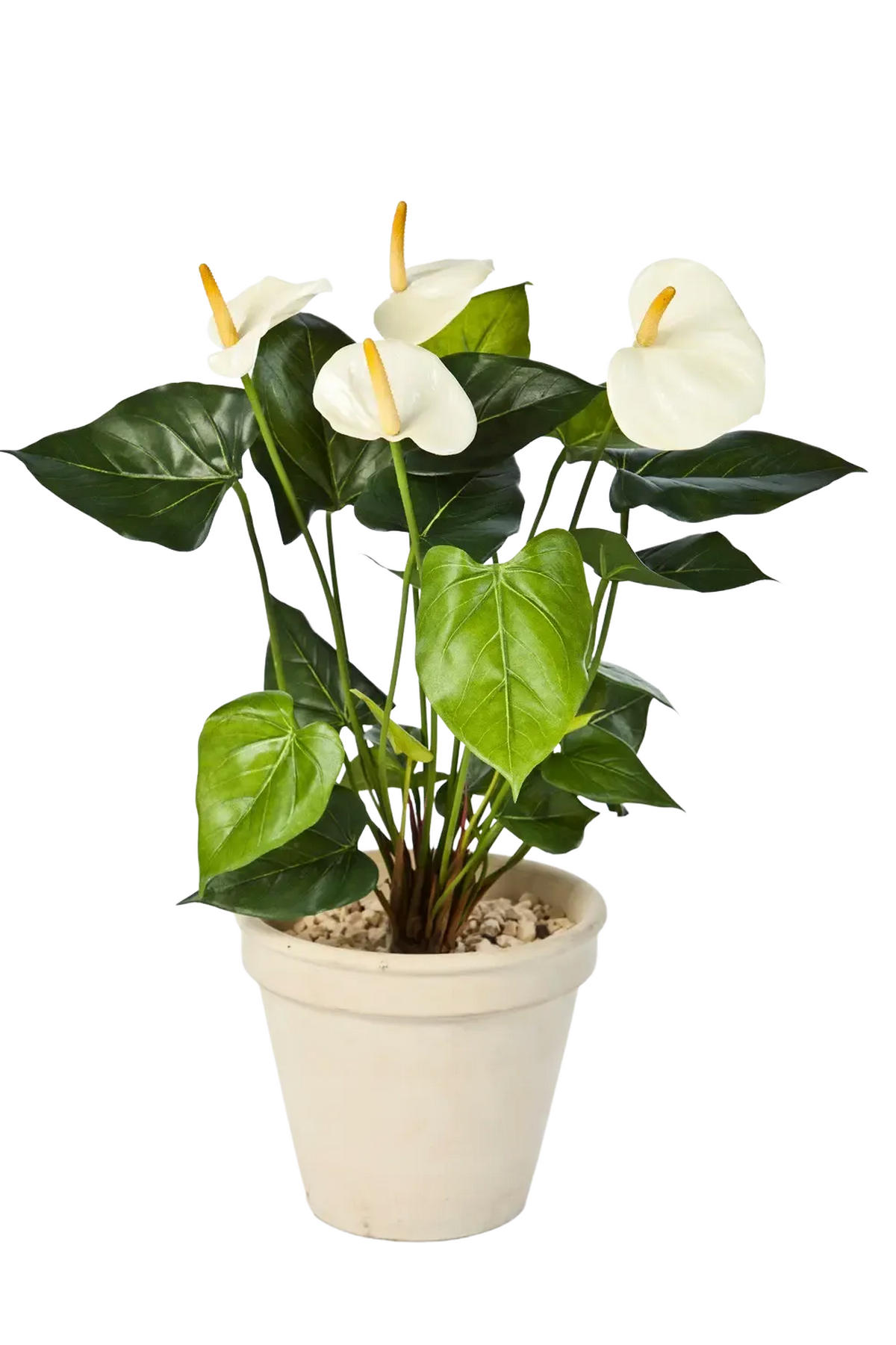KUNSTPFLANZE Künstliche Flamingoblume - Steckpflanze - Nora 56 cm - Creme, Kunststoff (56cm) - aplanta