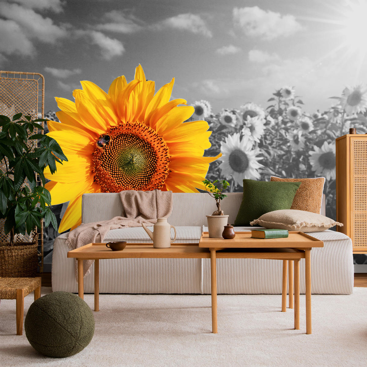 FOTOTAPETE für Küche Gelber Sonnenblume Schwarz-Weiß Hintergrund 400x280 - Gelb/Orange, Papier (400/280cm) - Muralo