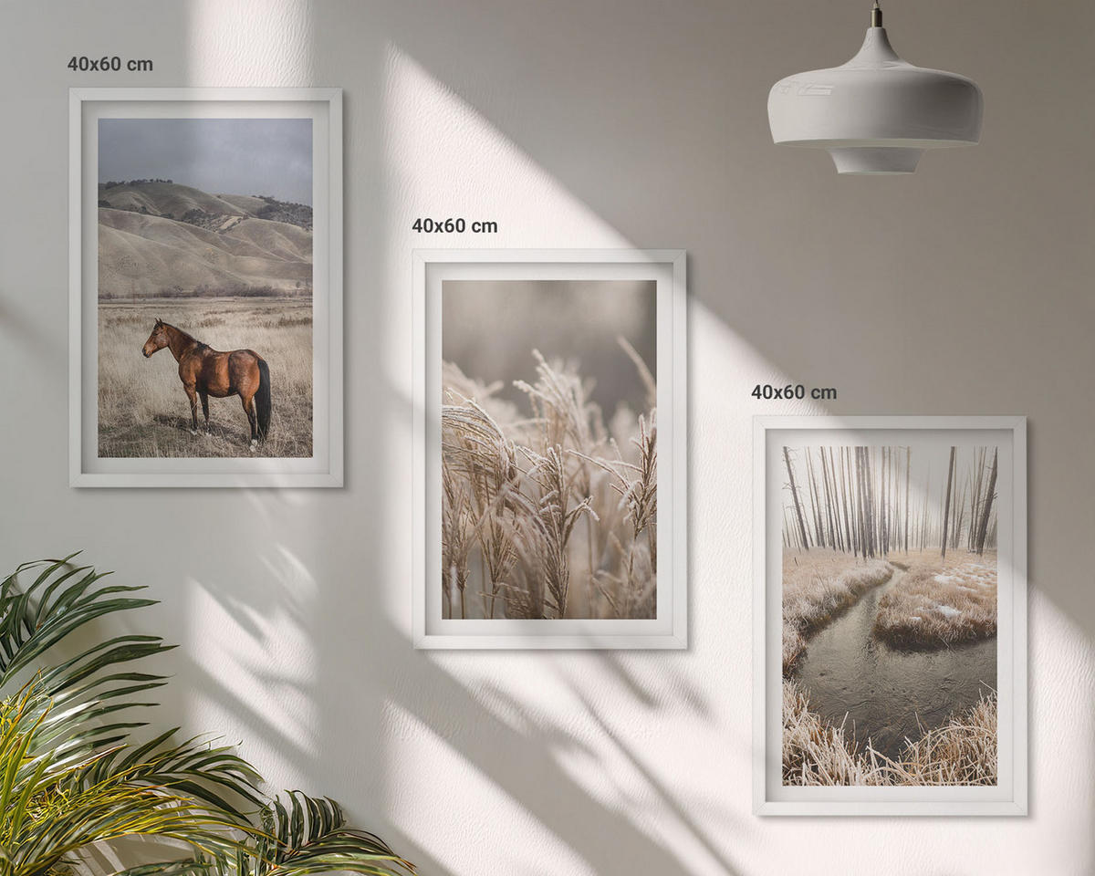 BILDER SET 3er Set - 40x60 cm Weißer Rahmen - Pferde, Landschaft, Gras, Bach - Weiß, Kunststoff (40/60cm) - TULUP