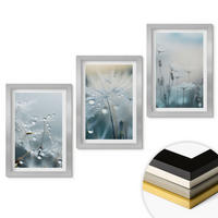 WANDBILDER 3er Set - 20x30 cm Silberner Rahmen - Tautropfen auf Löwenzahn - Silberfarben, Kunststoff (20/30cm) - ArtPrintCave