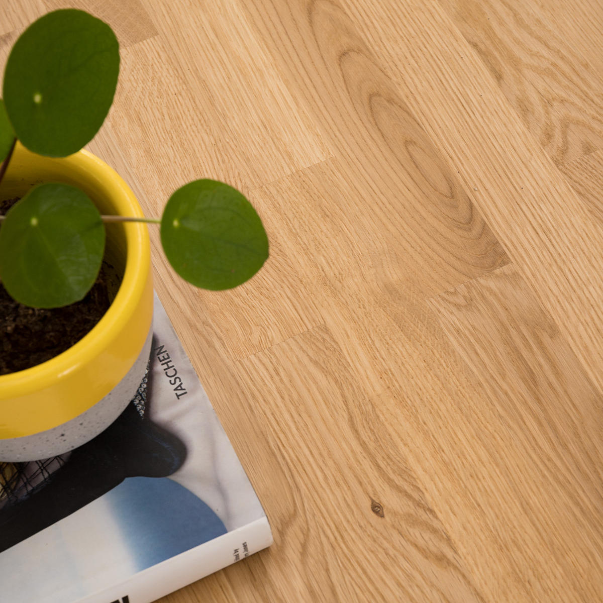 COUCHTISCH - Massivholz - Eichefarben/Braun, Holz (70/70/38cm) - home24