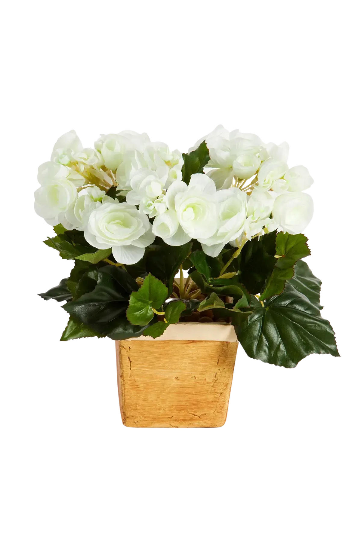 KUNSTPFLANZE Künstliche Begonie - Steckpflanze - Tina 20 cm - Creme, Kunststoff (20cm) - aplanta