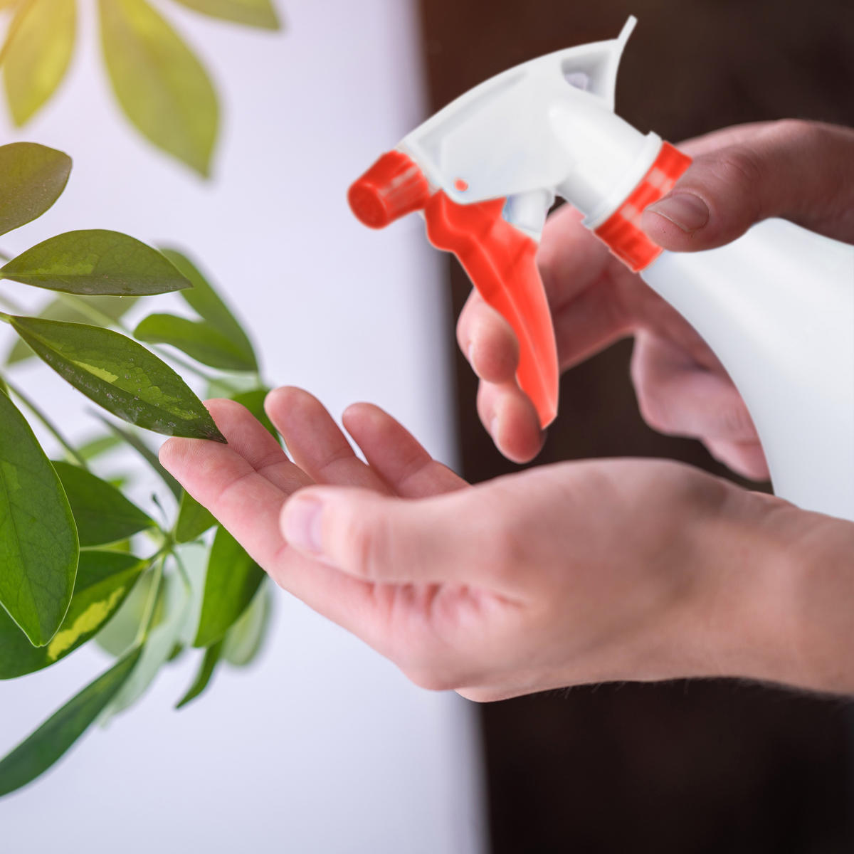 3XSPRÜHFLASCHE - Weiß, Kunststoff (13/25/10cm) - Relaxdays