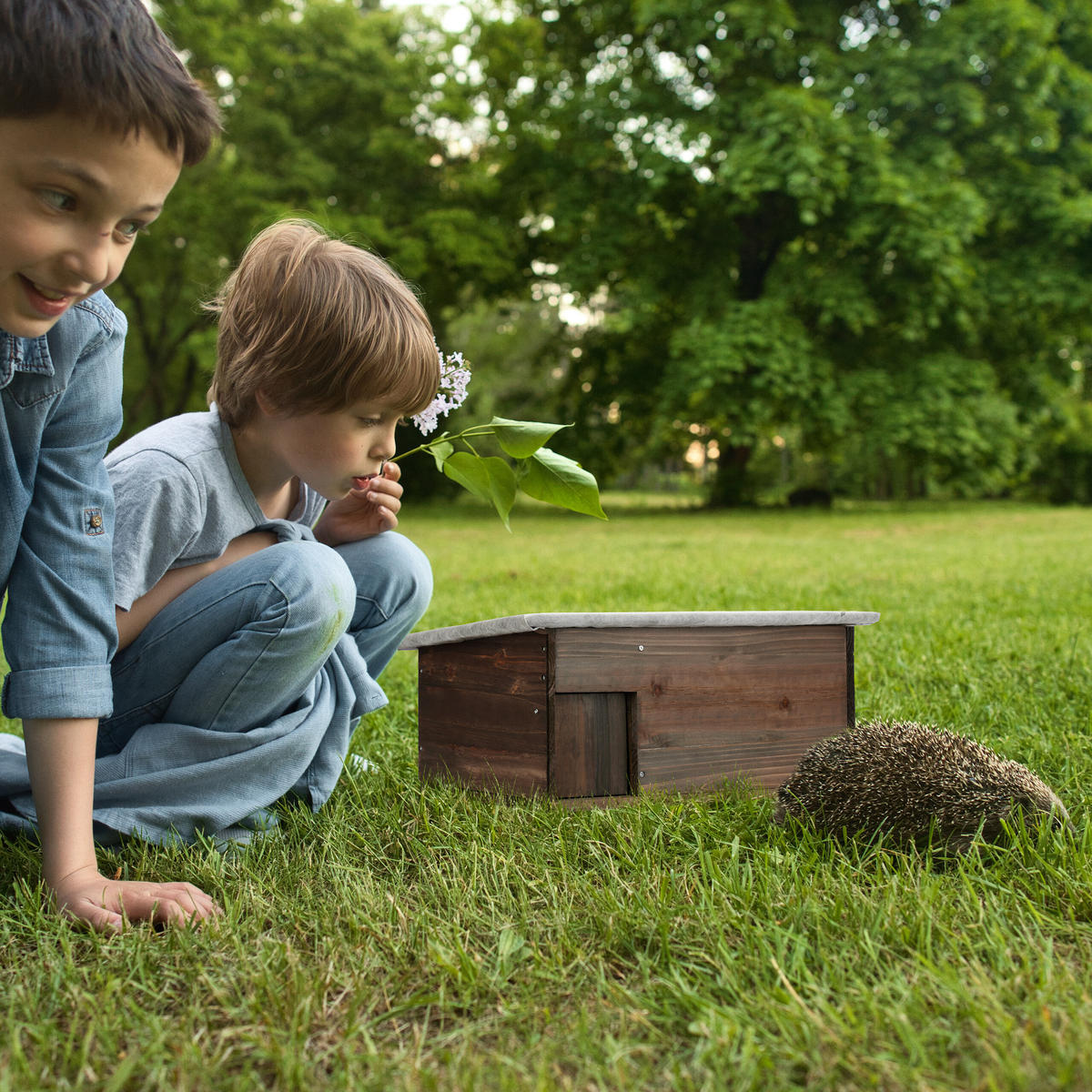 IGELHAUS - Braun, Holz/Textil (45.5/20/33cm) - Relaxdays